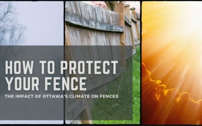 The Impact of Ottawa’s Climate on Fence Maintenance: How to Protect Your Fence from the Elements